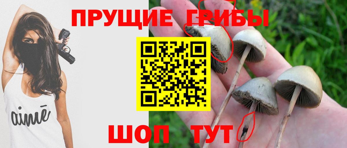 Псилоцибиновые грибы MAGIC MUSHROOMS  Галлюциногенные грибы Cubensis  Мончегорск  Вход с VPN 